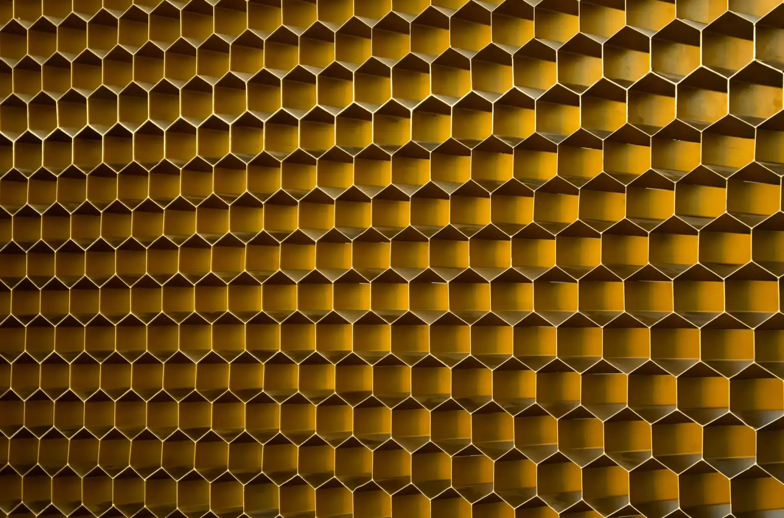 2025年墙纸壁布行业技术革新趋势分析
