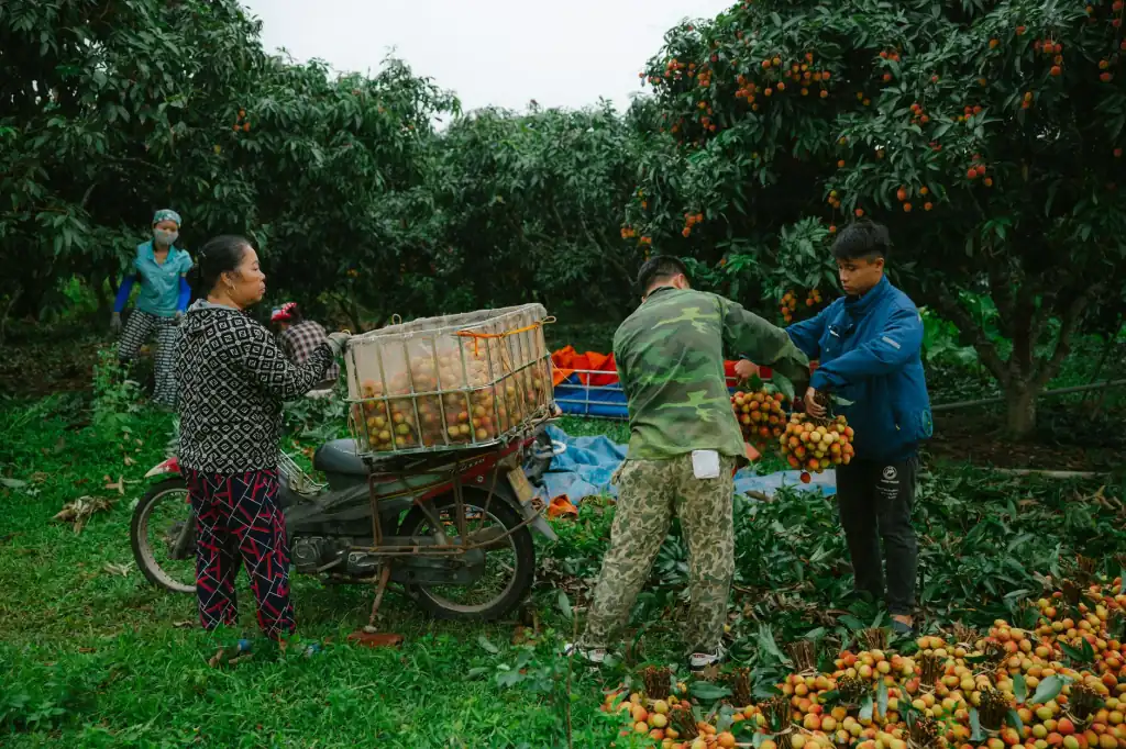 运城家装墙面材料升级：墙纸与壁布选购对比分析
